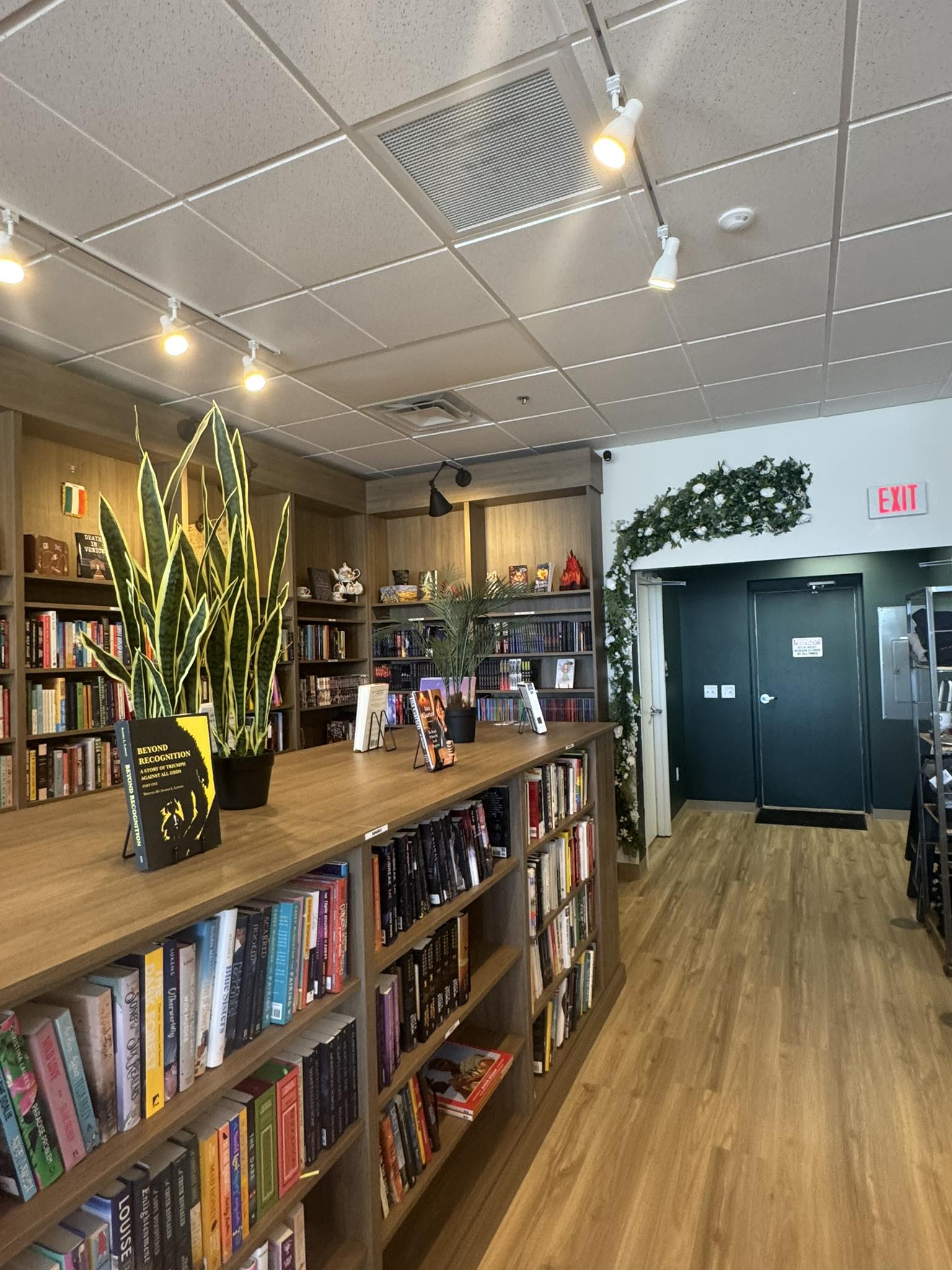 Store Interior with Bookshelves and Plants